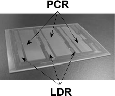 Graphical abstract: Serial processing of biological reactions using flow-through microfluidic devices: coupled PCR/LDR for the detection of low-abundant DNA point mutations