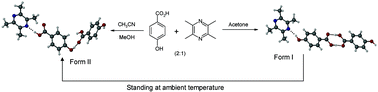 Graphical abstract: Supramolecular synthon polymorphism in 2 : 1 co-crystal of 4-hydroxybenzoic acid and 2,3,5,6-tetramethylpyrazine