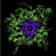 Graphical abstract: A hierarchical approach for predicting the transport properties of the gramicidin A channel