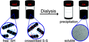 Graphical abstract: Peptides that non-covalently functionalize single-walled carbon nanotubes to give controlled solubility characteristics