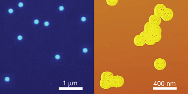 Graphical abstract: Water-stable blue-emitting ZnO@polymer core–shell microspheres
