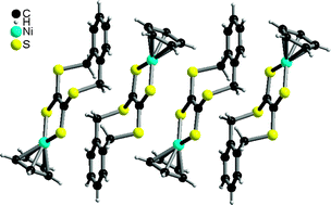 Graphical abstract: The contrasted structural and magnetic behaviour of two single-component paramagnetic dithiolene complexes