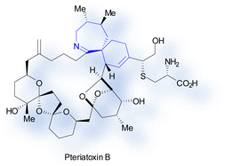 Graphical abstract: Synthesis of macrocyclic shellfish toxins containing spiroimine moieties