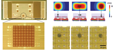 Graphical abstract: Integrated cell manipulation system—CMOS/microfluidic hybrid