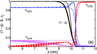 Graphical abstract: Phase field modeling of CH4 hydrate conversion into CO2 hydrate in the presence of liquid CO2