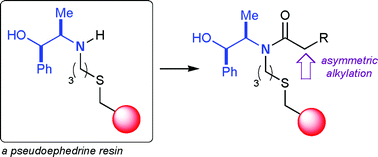 Graphical abstract: Synthesis and evaluation of a new polymer-supported pseudoephedrine auxiliary for asymmetric alkylations on solid phase