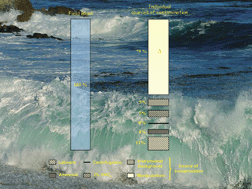 Graphical abstract: Investigation on sources of contamination, for an accurate analytical blank estimation, during measurements of the Fe content in seawater by isotope dilution inductively coupled plasma mass spectrometry