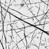 Graphical abstract: Structural and redox properties of VOx and Pd/VOx thin film model catalysts studied by TEM and SAED