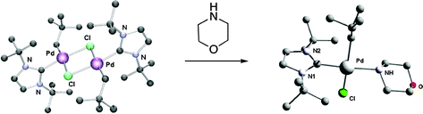 Graphical abstract: Synthesis and reactivity of alkylpalladium N-heterocyclic carbene complexes