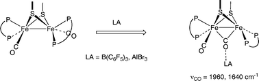 Graphical abstract: Lewis vs. Brønsted-basicities of diiron dithiolates: spectroscopic detection of the “rotated structure” and remarkable effects of ethane- vs. propanedithiolate