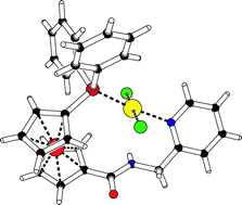 Graphical abstract: Synthesis, coordination and catalytic use of 1-(diphenylphosphino)-1′-carbamoylferrocenes with pyridyl-containing N-substituents