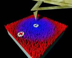 Graphical abstract: Exploring nanoscale electrical and electronic properties of organic and polymeric functional materials by atomic force microscopy based approaches