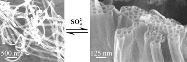 Graphical abstract: Macroscale assembly of peptide nanotubes