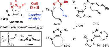 Graphical abstract: A triazole-templated ring-closing metathesis for constructing novel fused and bridged triazoles