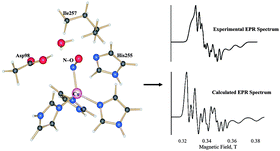 Graphical abstract: The binding of nitric oxide at the Cu(i) site of copper nitrite reductase and of inorganic models: DFT calculations of the energetics and EPR parameters of side-on and end-on structures