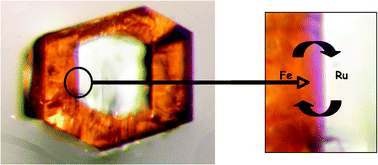 Graphical abstract: Investigations on crystalline interface within a molecular composite crystal by microscopic techniques