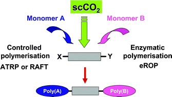 Graphical abstract: Supercritical CO2: an effective medium for the chemo-enzymatic synthesis of block copolymers?