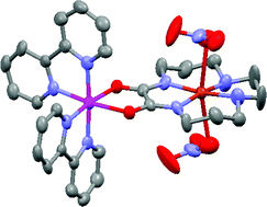 Graphical abstract: Binuclear and trinuclear complexes of exoO2-cyclam