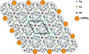 Graphical abstract: Colloidal synthesis and characterization of monocrystalline apatite nanophosphors