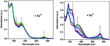 Graphical abstract: A highly selective colorimetric chemosensor for detecting the respective amounts of iron(ii) and iron(iii) ions in water