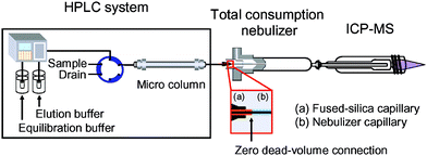 Graphical abstract: Determination of selenoprotein P in submicrolitre samples of human plasma using micro-affinity chromatography coupled with low flow ICP-MS