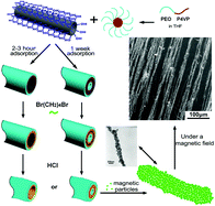 Graphical abstract: Facile preparation of stabilized polymeric nanotubes using sacrificial yttrium hydroxide nanotubes as template and block copolymer micelles as precursor
