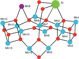 Graphical abstract: Heteronuclear Mn–Ca/Sr complexes, and Ca/Sr EXAFS spectral comparisons with the Oxygen-Evolving Complex of Photosystem II