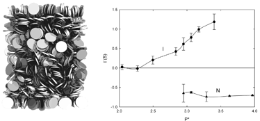 Graphical abstract: Surface ordering and capillary phenomena of confined hard cut-sphere particles