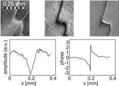 Graphical abstract: Optical imaging of pattern formation: reflection anisotropy microscopy applied to globally coupled oscillatory CO-oxidation