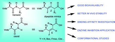 Graphical abstract: Chiral dipeptide mimics possessing a fluoroolefin moiety: a relevant tool for conformational and medicinal studies