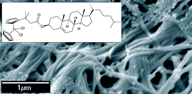 Graphical abstract: A tailored organometallic gelator with enhanced amphiphilic character and structural diversity of gelation