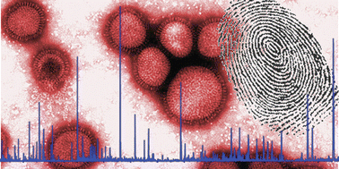 Graphical abstract: Fingerprinting a killer: surveillance of the influenza virus by mass spectrometry