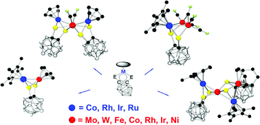 Graphical abstract: Formation of direct metal–metal bonds from 16-electron “pseudo-aromatic” half-sandwich complexes Cp″M[E2C2(B10H10)]