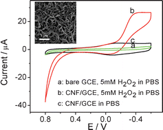 Graphical abstract: Highly sensitive flow injection detection of hydrogen peroxide with high throughput using a carbon nanofiber-modified electrode