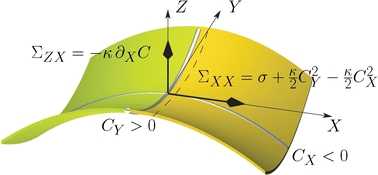 Graphical abstract: On the stress and torque tensors in fluid membranes