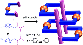 Graphical abstract: Rectangular architectures formed by acyclic diamido-metal-N-heterocyclic carbenes with skewed conformation