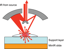 Graphical abstract: Optical artefacts in transflection mode FTIR microspectroscopic images of single cells on a biological support: the effect of back-scattering into collection optics