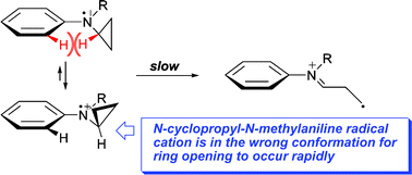 Graphical abstract: The first calibration of an aminiumyl radical ion clock: why N-cyclopropylanilines may be poor mechanistic probes for single electron transfer