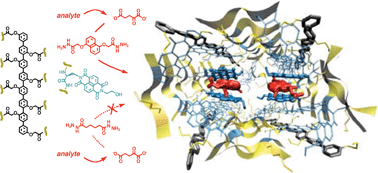 Graphical abstract: Synthetic pores with sticky π-clamps