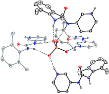 Graphical abstract: Oxo-anion binding by protonated (dimethylphenyl)(pyridyl)ureas