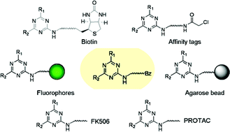 Graphical abstract: Tagged library approach facilitates forward chemical genetics