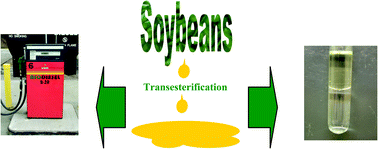 Graphical abstract: Renewable plant-based soybean oil methyl esters as alternatives to organic solvents