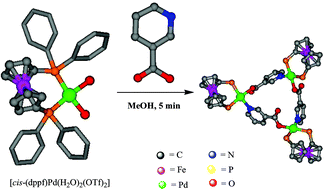 Graphical abstract: Self-assembly of a heterometallic molecular triangle using an ambidentate ligand and self-selection for a single linkage isomer