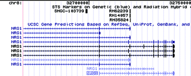 Graphical abstract: Alternative splicing: a bioinformatics perspective