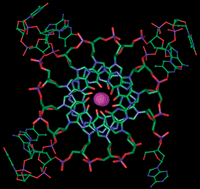 Graphical abstract: Four-stranded nucleic acids: structure, function and targeting of G-quadruplexes