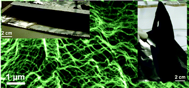 Graphical abstract: Direct fabrication of single-walled carbon nanotube macro-films on flexible substrates