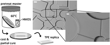Graphical abstract: Fabrication improvements for thermoset polyester (TPE) microfluidic devices