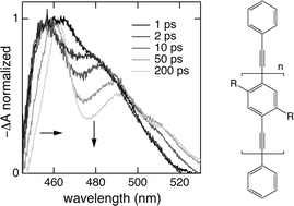 Graphical abstract: Ultrafast excited-state dynamics of phenyleneethynylene oligomers in solution