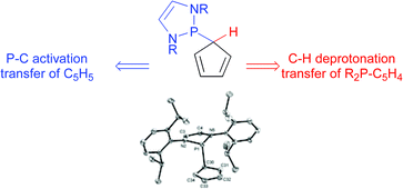 Graphical abstract: Structures, dynamic behaviour, and reactivity of P-cyclopentadienyl-substituted 1,3,2-diazaphospholenes