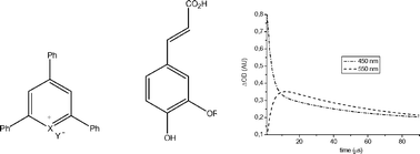 Graphical abstract: Involvement of triplet excited states in the electron transfer photodegradation of cinnamic acids using pyrylium and thiapyrylium salts as photocatalysts